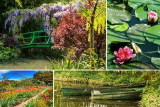 Der märchenhafte Garten von Claude Monet in Giverny